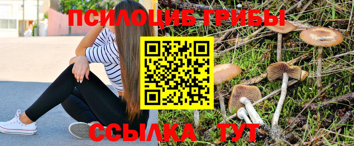 Галлюциногенные грибы Cubensis Балашиха