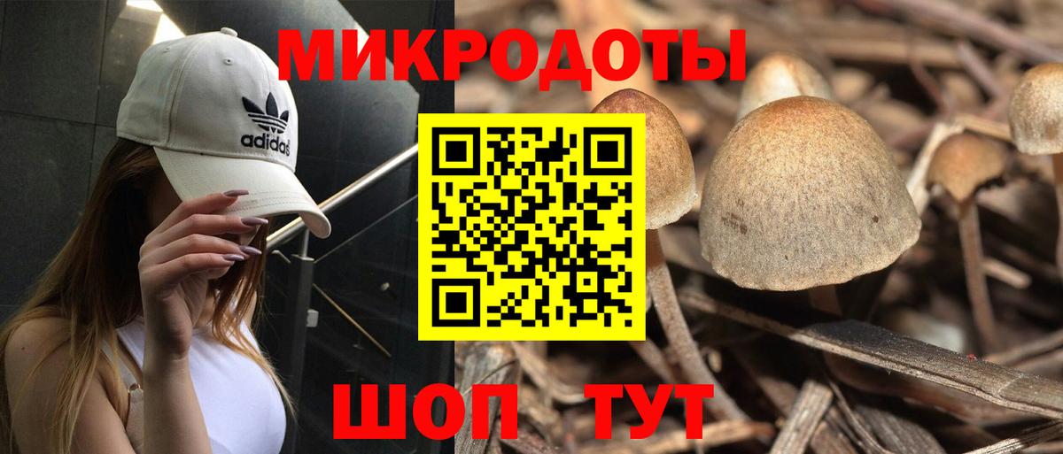 Галлюциногенные грибы Magic Shrooms  Вход с VPN  Балашиха 